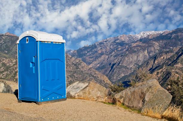 Best Sanitation services for porta potties  in Wyandotte, MI