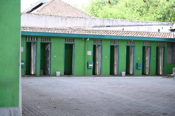 Best Affordable portable toilet rental  in Wyandotte, MI